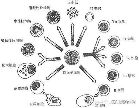 Image result for Easy Experiments with Fire