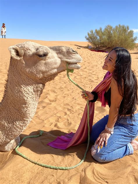 Pin by Lira Sadural on Sahara | Sahara, Camel, Animals