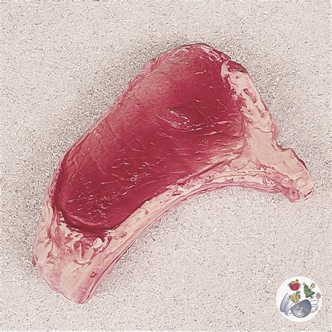 Beefsteak - Lebensmittelattrappen von Global Trends