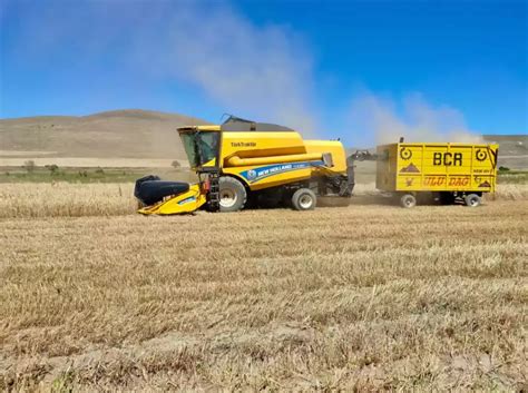 Basic Sector 的图像结果