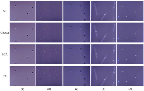 SC-AttentiveNet: Lightweight Multiscale Feature Fusion Network for ...