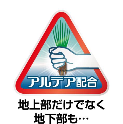 Moviepy Python Path of File 的图像结果