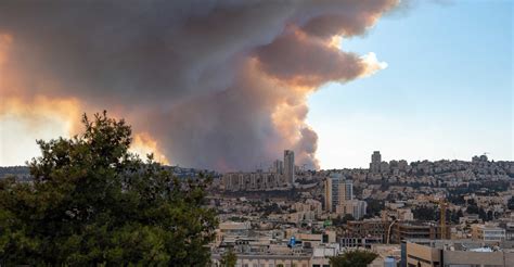 Eugene pollen count and allergy info | IQAir