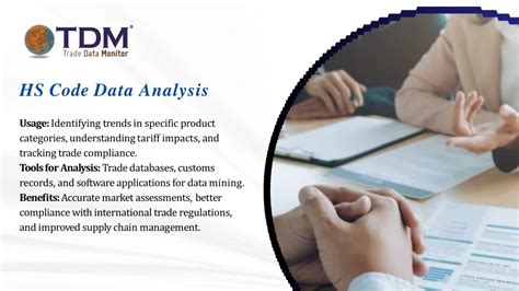 Export Data 的图像结果