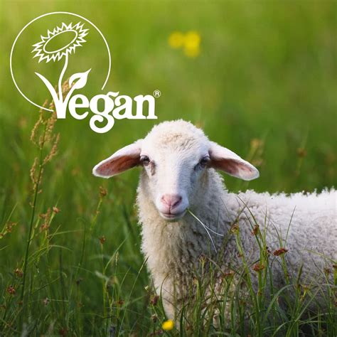 Buy AproDerm Emollient Starter Pack – Face and Body Moisturisers for ...