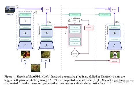 SemPPL: Predicting pseudo-labels for better contrastive representations - 知乎