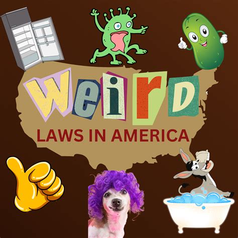 Top 10 Weirdest Laws In America at Tammy Teague blog