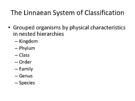 Image result for Linnaean Hierarchy Explained