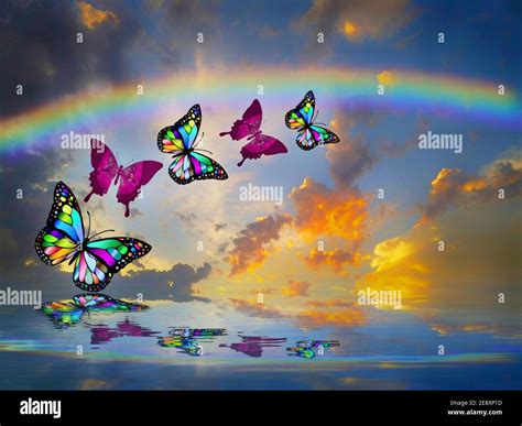 Rainbows And Butterflies Wallpaper
