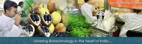 M P BIOTECHNOLOGY COUNCIL