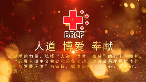 北京市红十字基金会