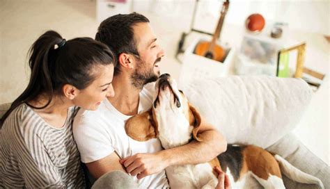 Rankin Animal Clinic | Fairhope, AL | Helpful Links