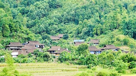 AMBIL SEKARANG
