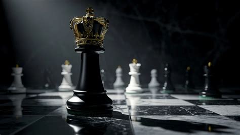 High Protocol Dominance Video Example 的图像结果