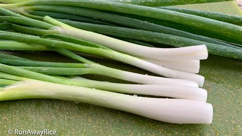 How to Freeze Green Onions / Scallions