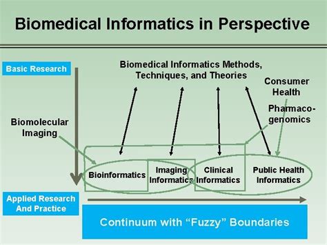Image result for Stanford Biomedical Informatics Program