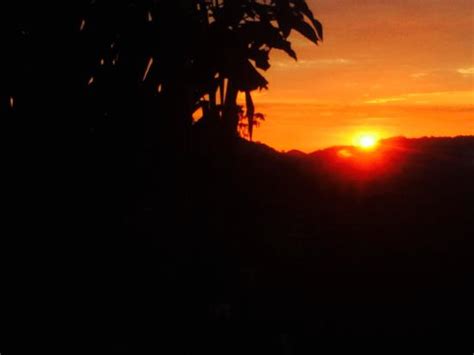 Abeokuta Paradise Nature Park (Montego Bay) - 2021 What to Know Before ...
