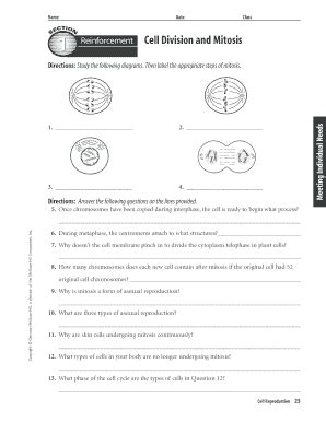 Cell Division Reinforcement - Fill and Sign Printable Template Online