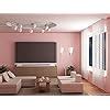 Asian Paint Royale Shyne Luxury Emulsion- (1.L, 4.L, 10.L, 20.L) (4L ...