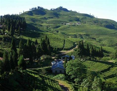 Dharan Tourism (2024): All You Need to Know Before You Go