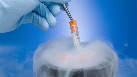 试管婴儿的这3种胚胎移植方式，你知道成功率最高的是哪种吗？_囊胚