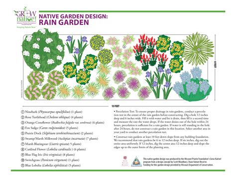 Rain Garden Designs