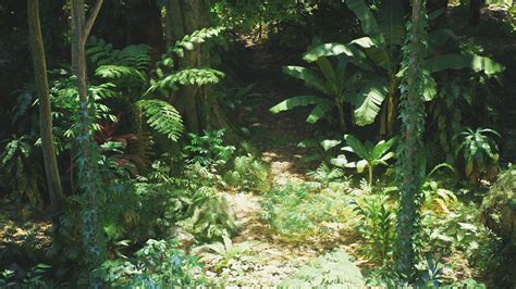 Rain Forest Plants