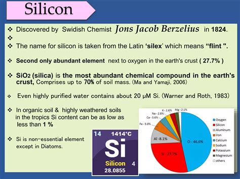 Seminar.silicon | PPTX