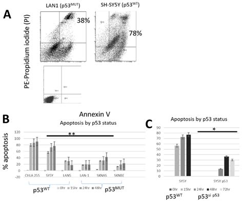 The Anti-Tumor Activity of the NEDD8 Inhibitor Pevonedistat in ...