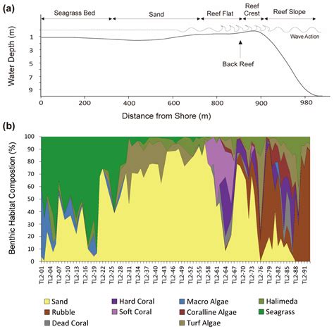 Estimation of the Benthic Habitat Zonation by Photo-Quadrat Image ...