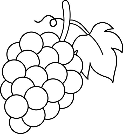 Grapes Black and White Lineart - Free Clip Art | Grape drawing, Fruit ...
