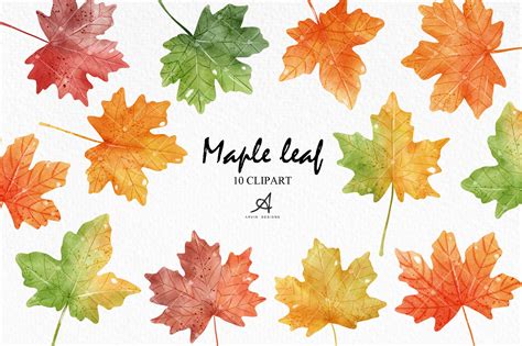 Autumn Maple Leaf Clip Art