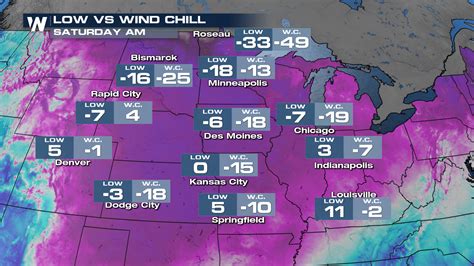 Exploding Tree Cold 的图像结果