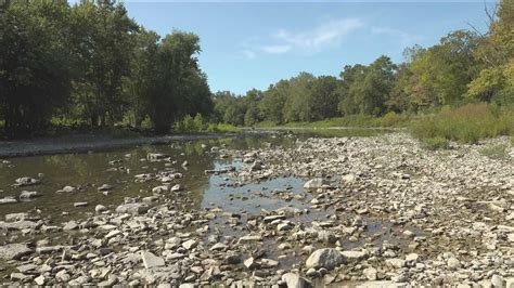 Drought impacts wildlife in northwest Ohio | wtol.com