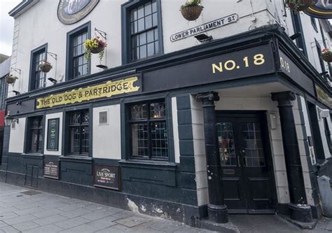 Love the staff - Reviews, Photos - Old Dog and Partridge - Tripadvisor