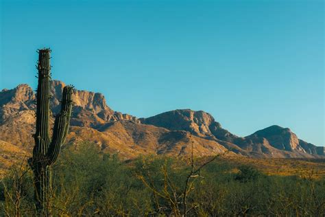 Desert Drifters Coffee