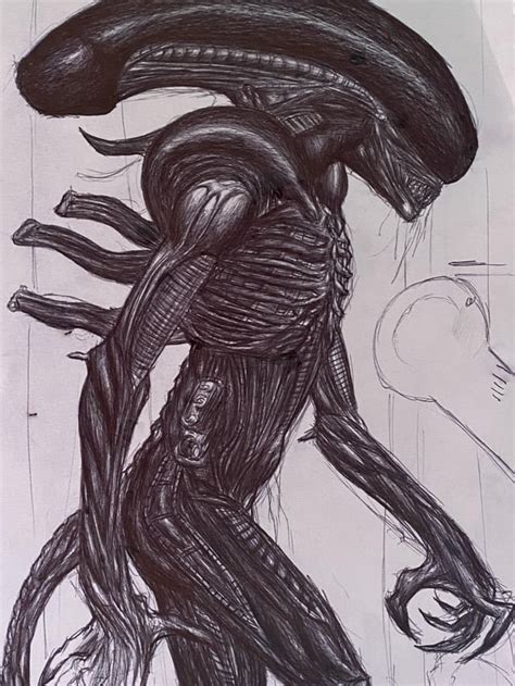 Xenomorph Drawing Tutorial 的图像结果