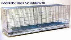 gabbie per allevamento canarini usate razziera zincata cm 120 gabbia per allevamento uccelli gabbie per allevamento canarini usate razziera zincata cm 120 gabbia per allevamento uccelli