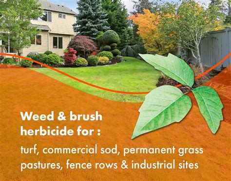 Pro Brush & Poison Ivy Killer – 32oz– (Compare Australia | Ubuy