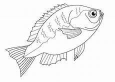 malvorlagen fische gratis ausmalbilder fische kostenlos ausdrucken malvor malvorlagen fische gratis ausmalbilder fische kostenlos ausdrucken malvor
