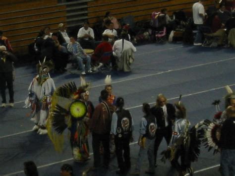 Ann Arbor Native Tribes: History & Culture