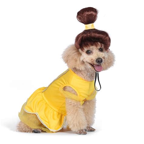 20+ Cute dog Halloween costumes That will make your pup stand out