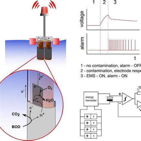 Image result for How Does a Biosensor Work