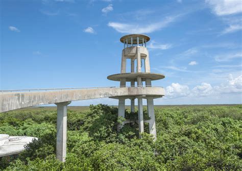Shark Valley Everglades National Park Tickets & Tours - Book Now