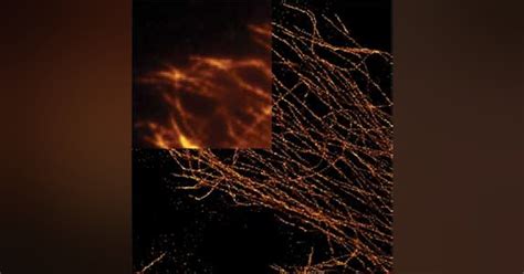 ImageScope Algorithm Software Logo 的图像结果