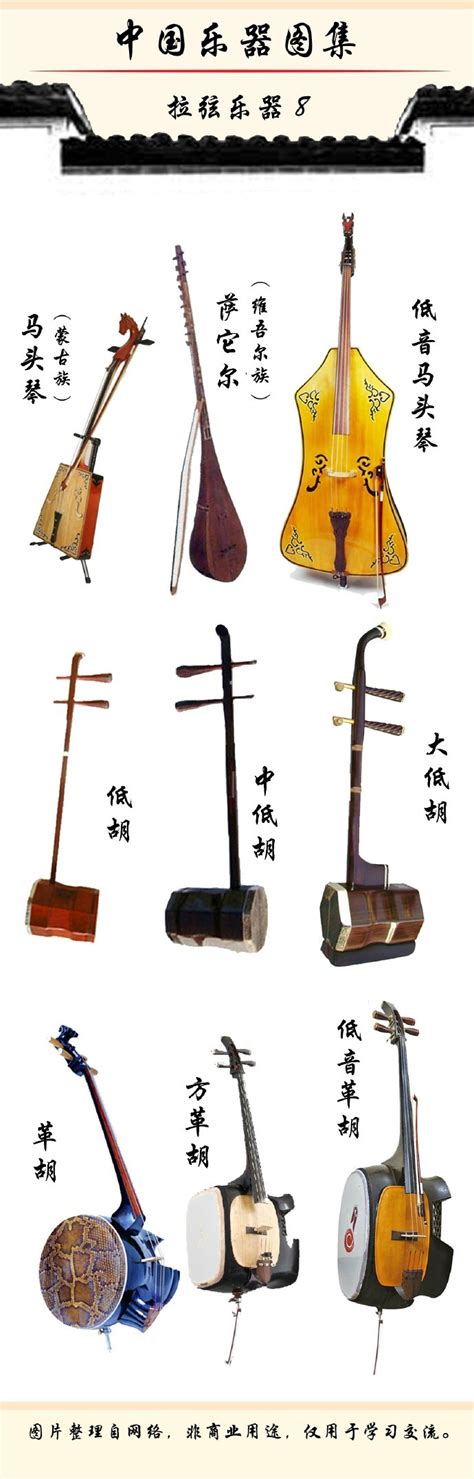 中国最全的拉弦乐器图集，收藏学习...|收藏|弦乐器|图集_新浪新闻
