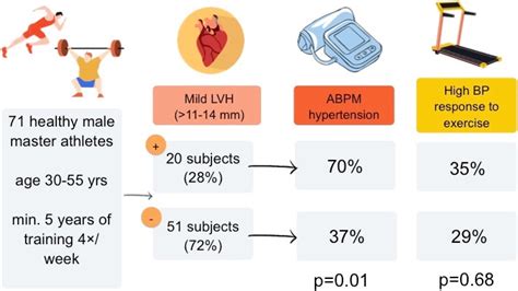Mild Left Ventricular Hypertrophy in Middle-Age Male Athletes as a Sign ...