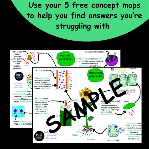 Science Biology Revision: Cells (GCSE Level). Keyword Revision Pack ...