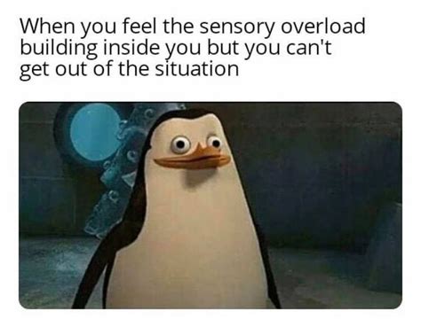 Sseedit Auto Clean 的图像结果