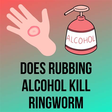 Does Rubbing Alcohol Kill Fleas? 5 Must-Know Facts